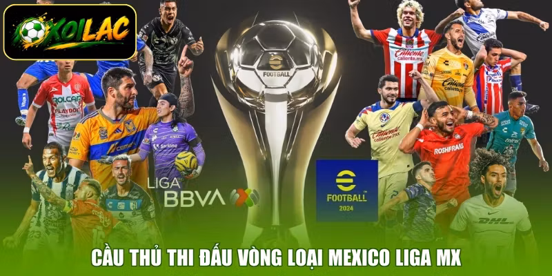 Cầu thủ thi đấu vòng loại Mexico Liga MX