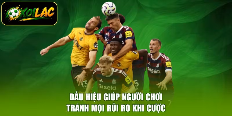Dấu hiệu giúp người chơi tránh mọi rủi ro khi cược