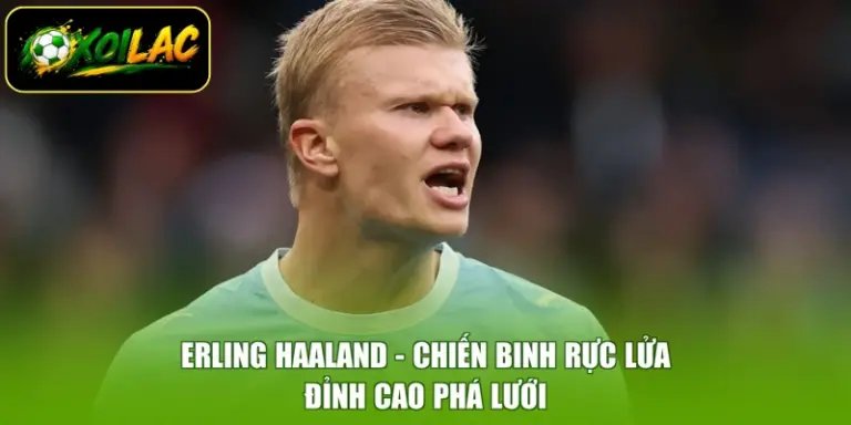 Erling Haaland - Chiến Binh Rực Lửa, Đỉnh Cao Phá Lưới