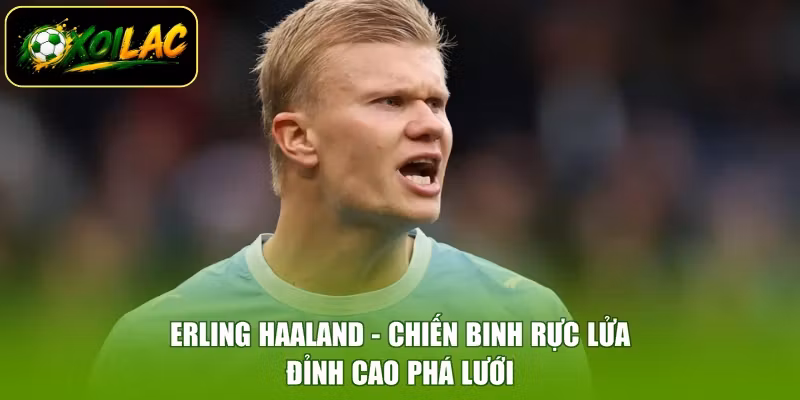 Erling Haaland - Chiến Binh Rực Lửa, Đỉnh Cao Phá Lưới