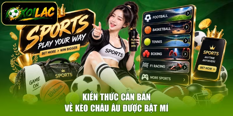 Kiến thức căn bản về kèo châu âu được bật mí