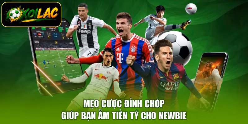 Mẹo cược đỉnh chóp giúp bạn ẵm tiền tỷ cho newbie