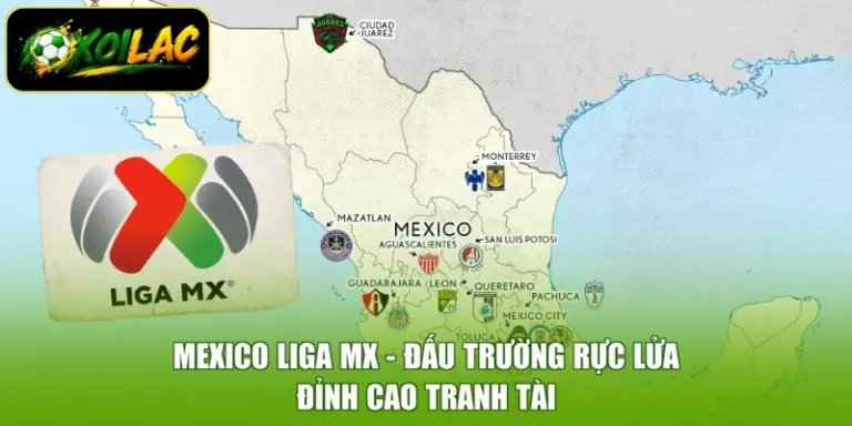 Mexico Liga MX - Đấu Trường Rực Lửa, Đỉnh Cao Tranh Tài